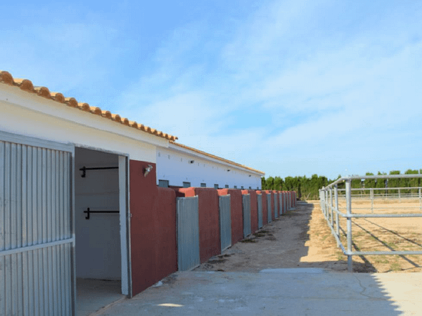 property for sale in Spain