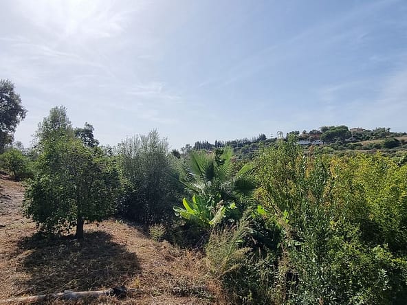 property for sale in Spain