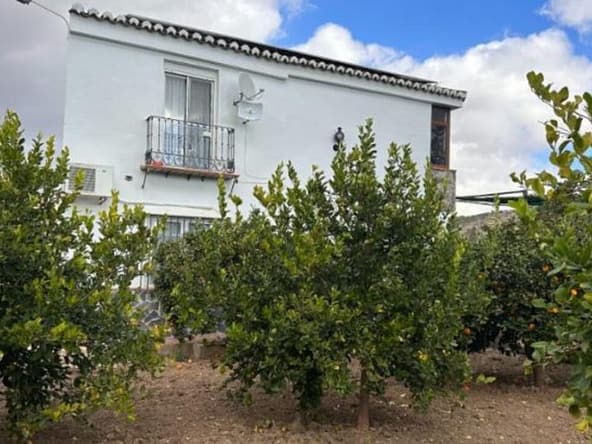 property for sale in Spain