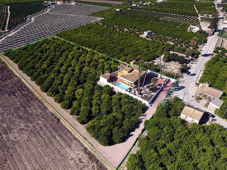 Luxury villa for immediate availability with a large agricultural plot in Orihuela, Alicante