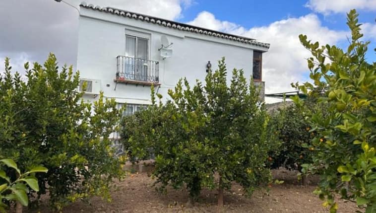 property for sale in Spain