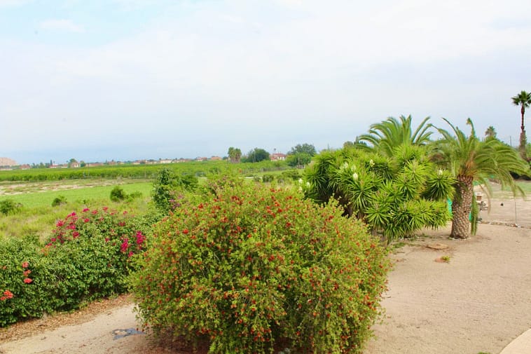 Luxurious 4-Bedroom Country House in Orihuela Alicante