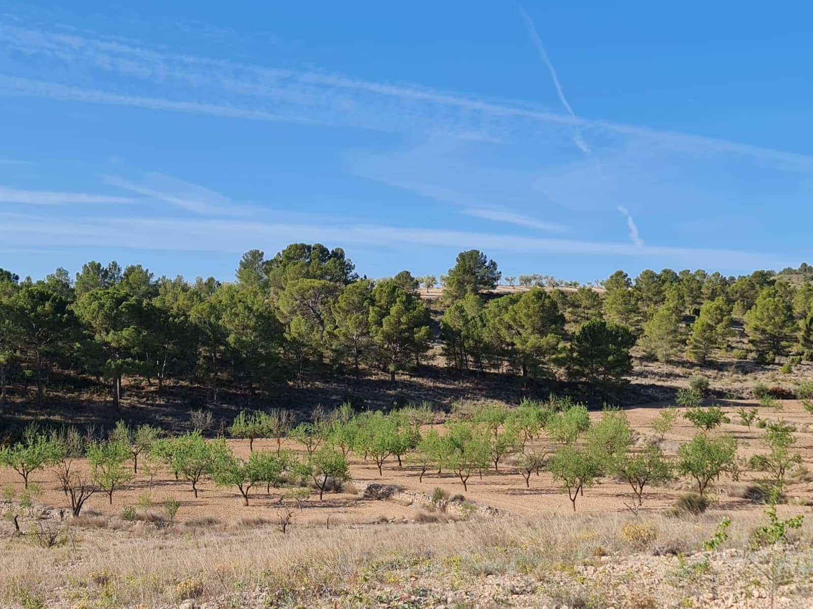 property for sale in Spain