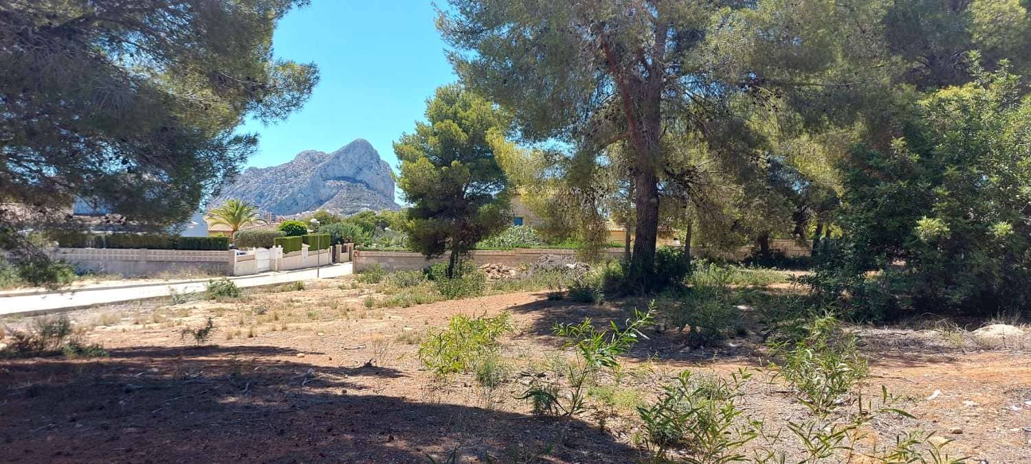 property for sale in Spain