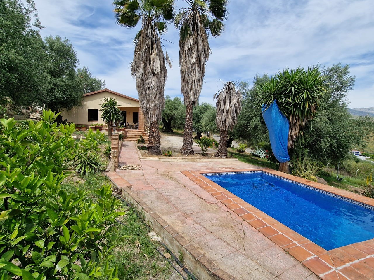 property for sale in Spain