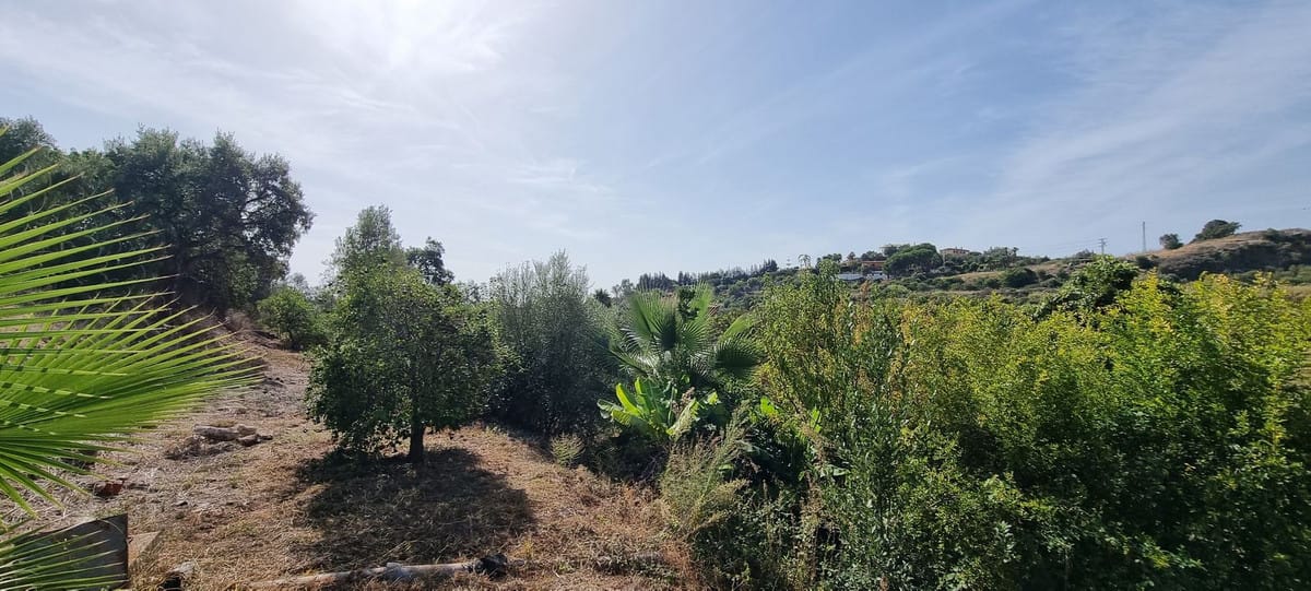 property for sale in Spain